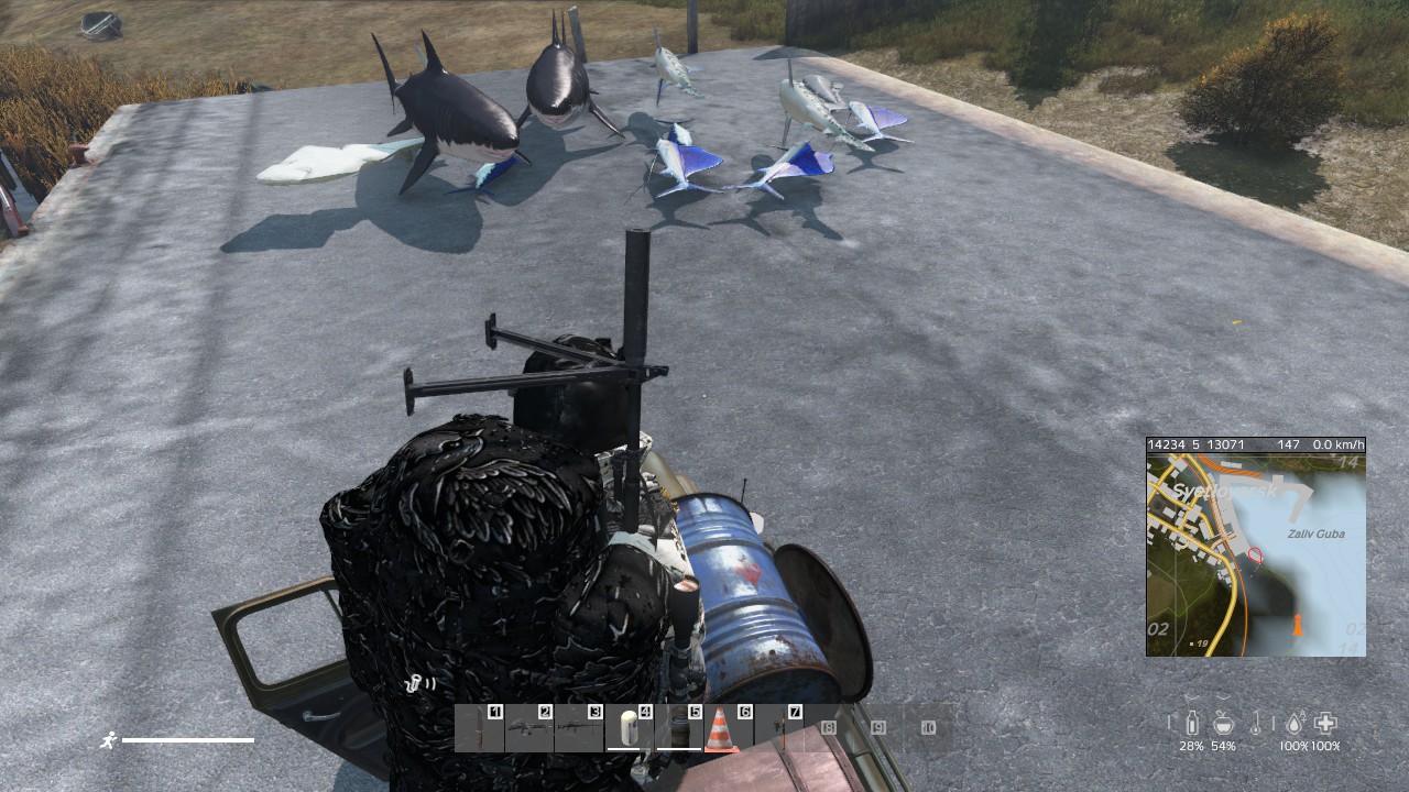 Collection de requins sur un toit